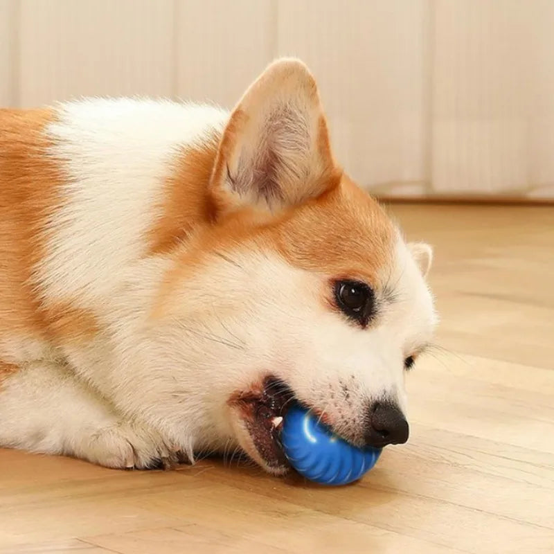 Pet Toy Ball Automatic Moving Dog Toy Ball Smart USB Jumping Rotating