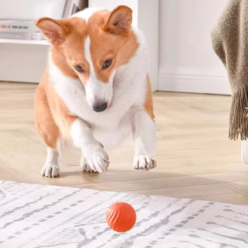 Pet Toy Ball Automatic Moving Dog Toy Ball Smart USB Jumping Rotating