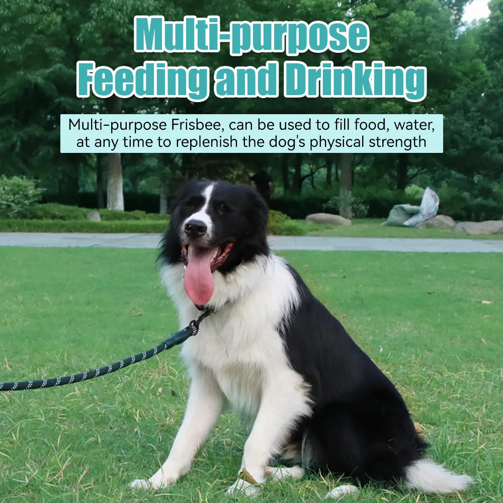 Pet Dog Flying Disk Toy Silicone Material Environmentally Friendly