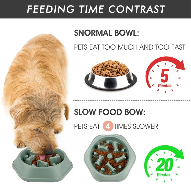 Slow Feeder Dog Bowl Anti-choking Slow Feeding Bowls for Dogs