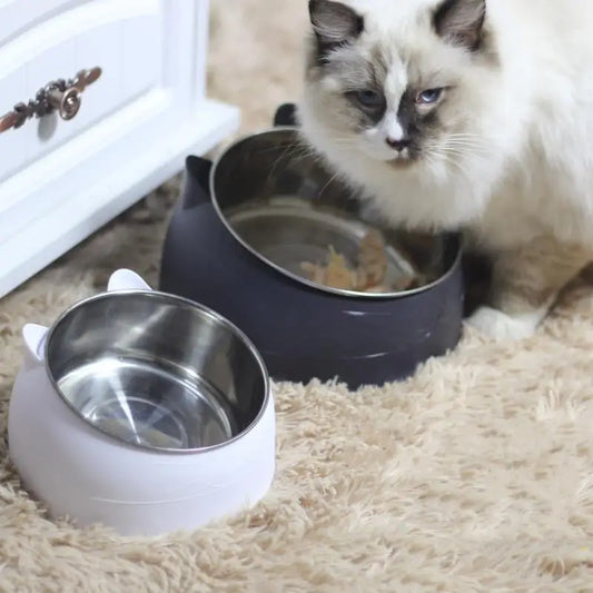 100ML Cat Dog Bowl 15 Degrees Raised Non Slip Puppy Base Cat Food