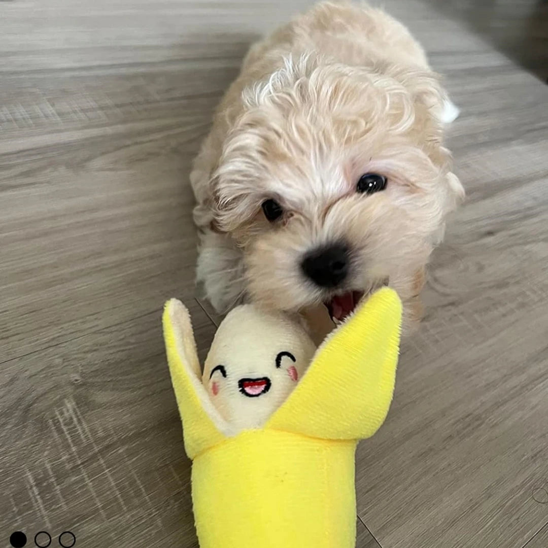 A 7-piece set of puppy sound toys, loose plush pet chewing, plush