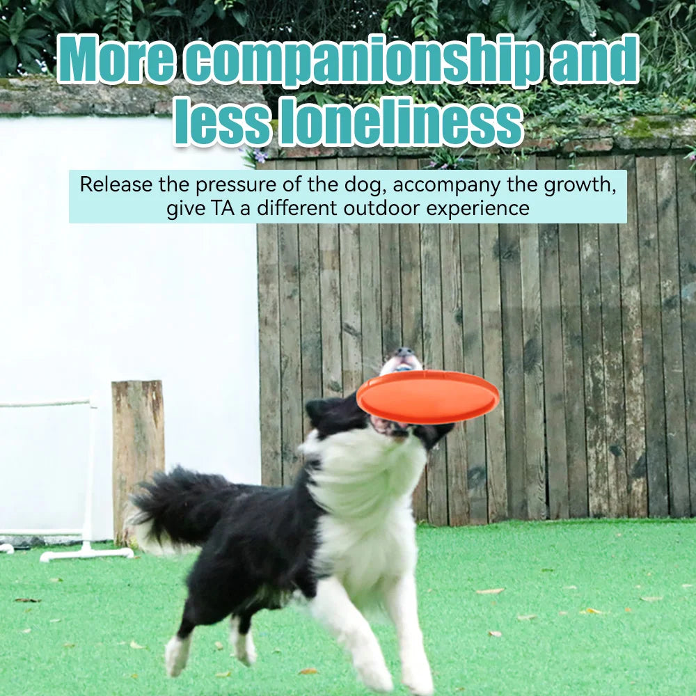 Pet Dog Flying Disk Toy Silicone Material Environmentally Friendly