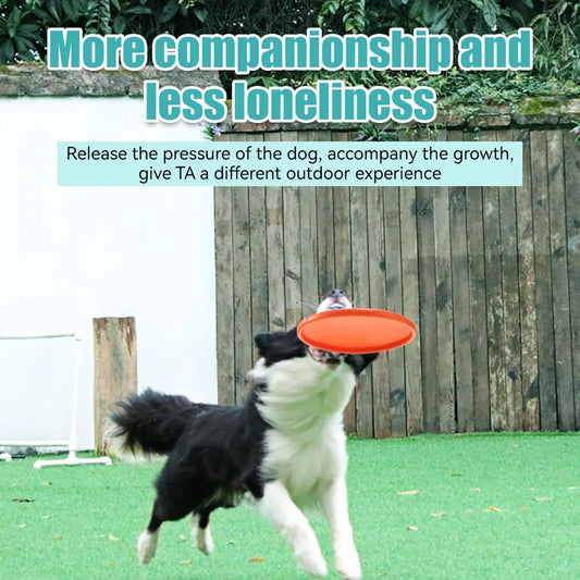 Pet Dog Flying Disk Toy Silicone Material Environmentally Friendly